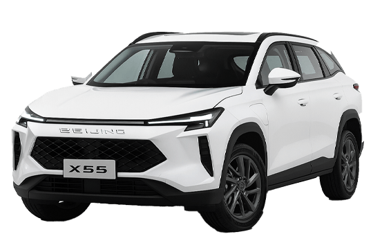 Ghost Anti Theft for X55 Ghost Anti Theft Systems for Beijing X55